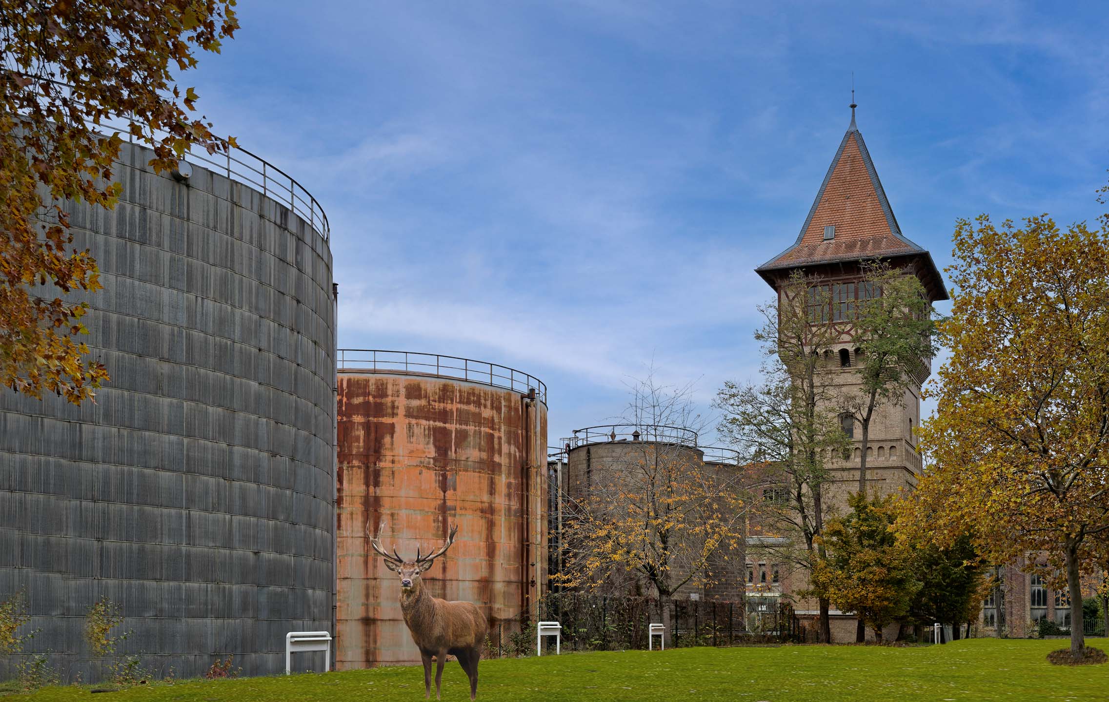 Rapunzelschloss im Herbst