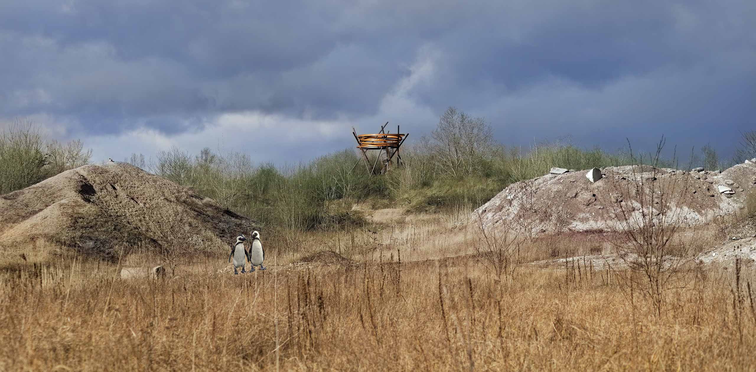 Alle Vögel sind schon da